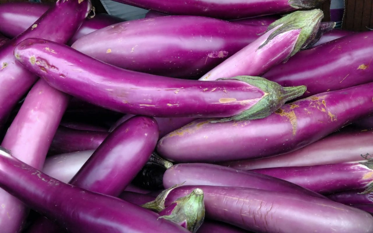 Chinese Eggplants