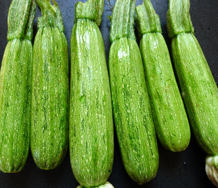 Italian Zucchini