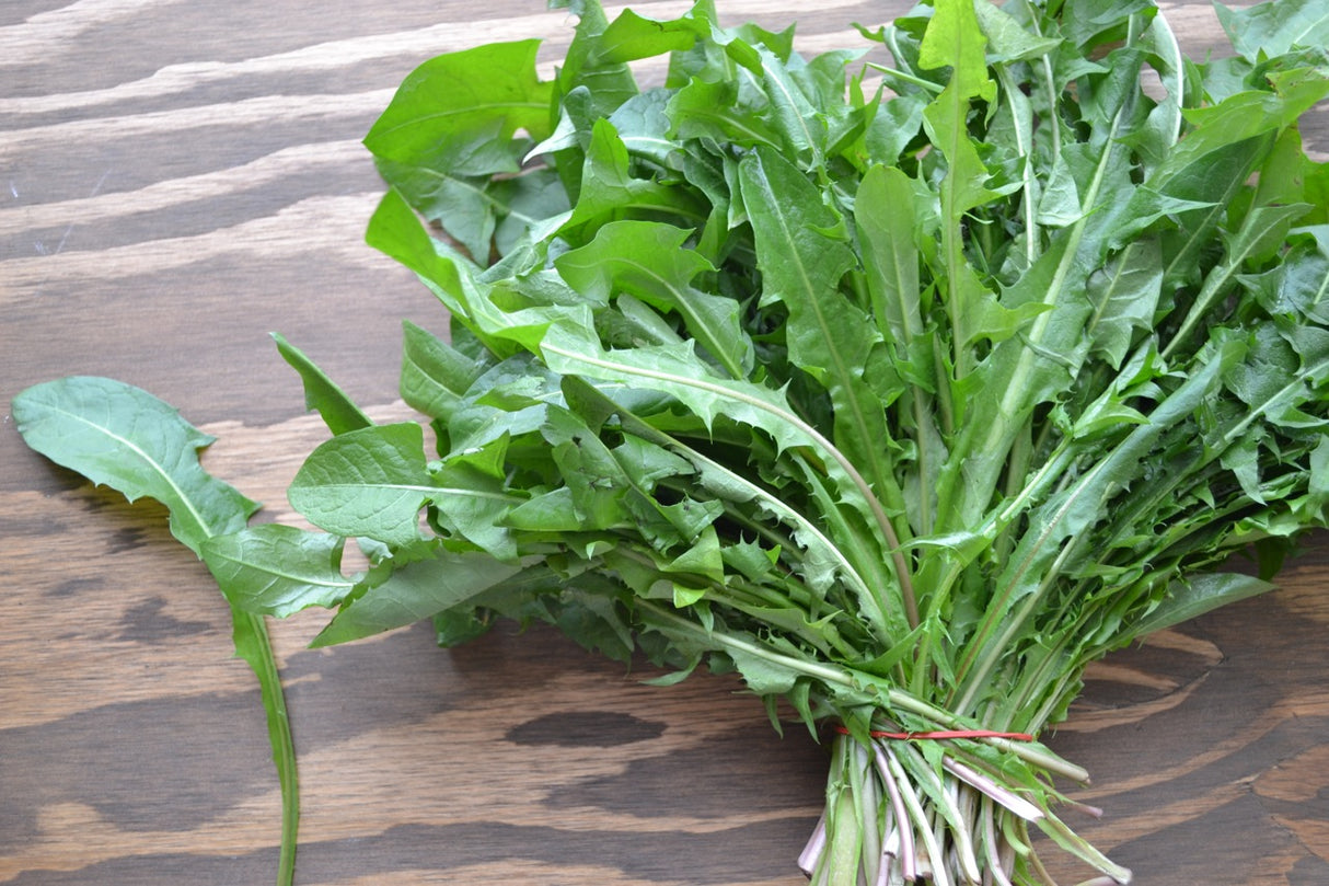 Dandelion Greens
