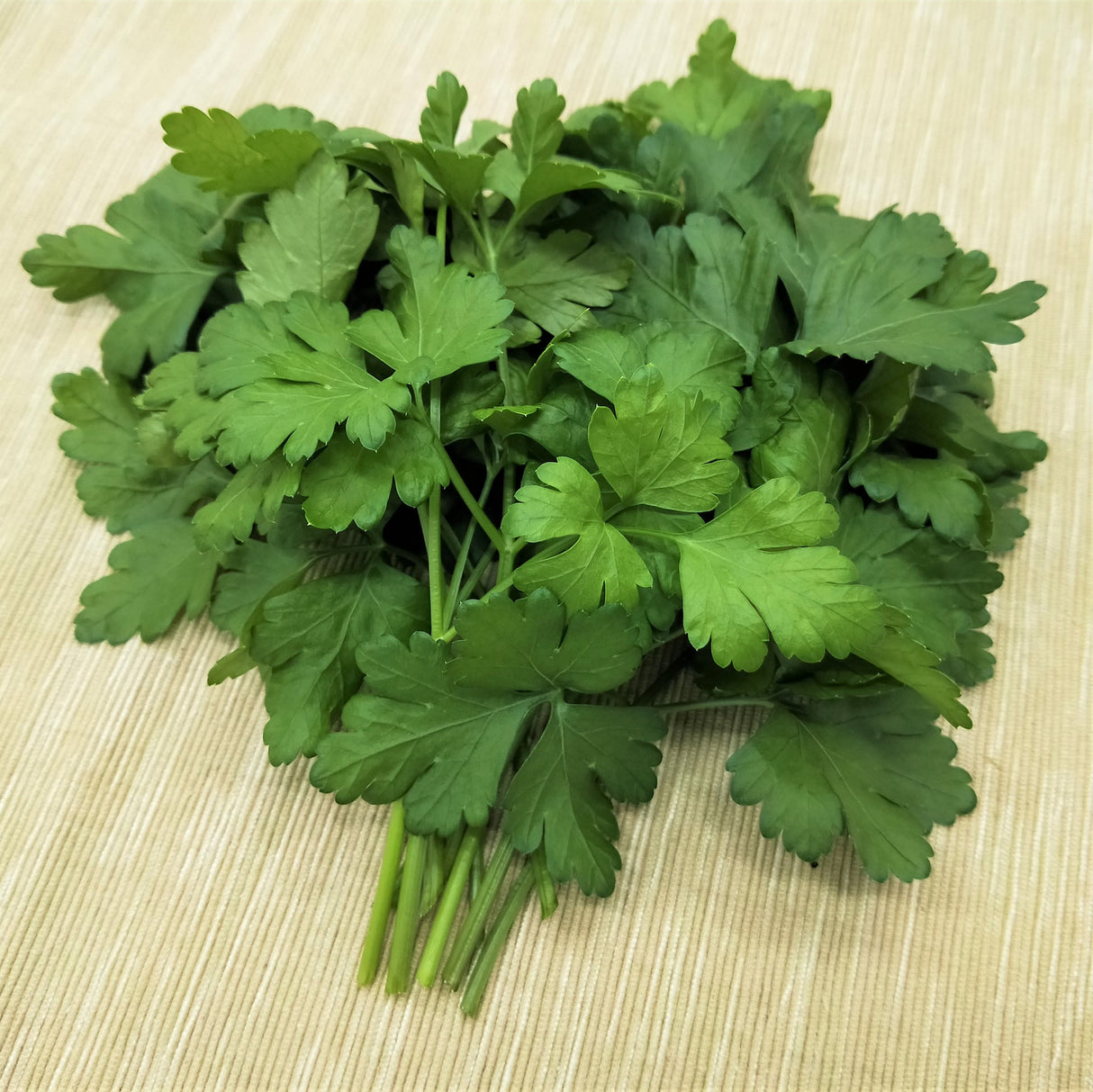 Italian Parsley