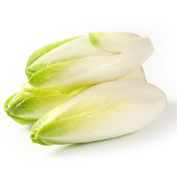 Endive