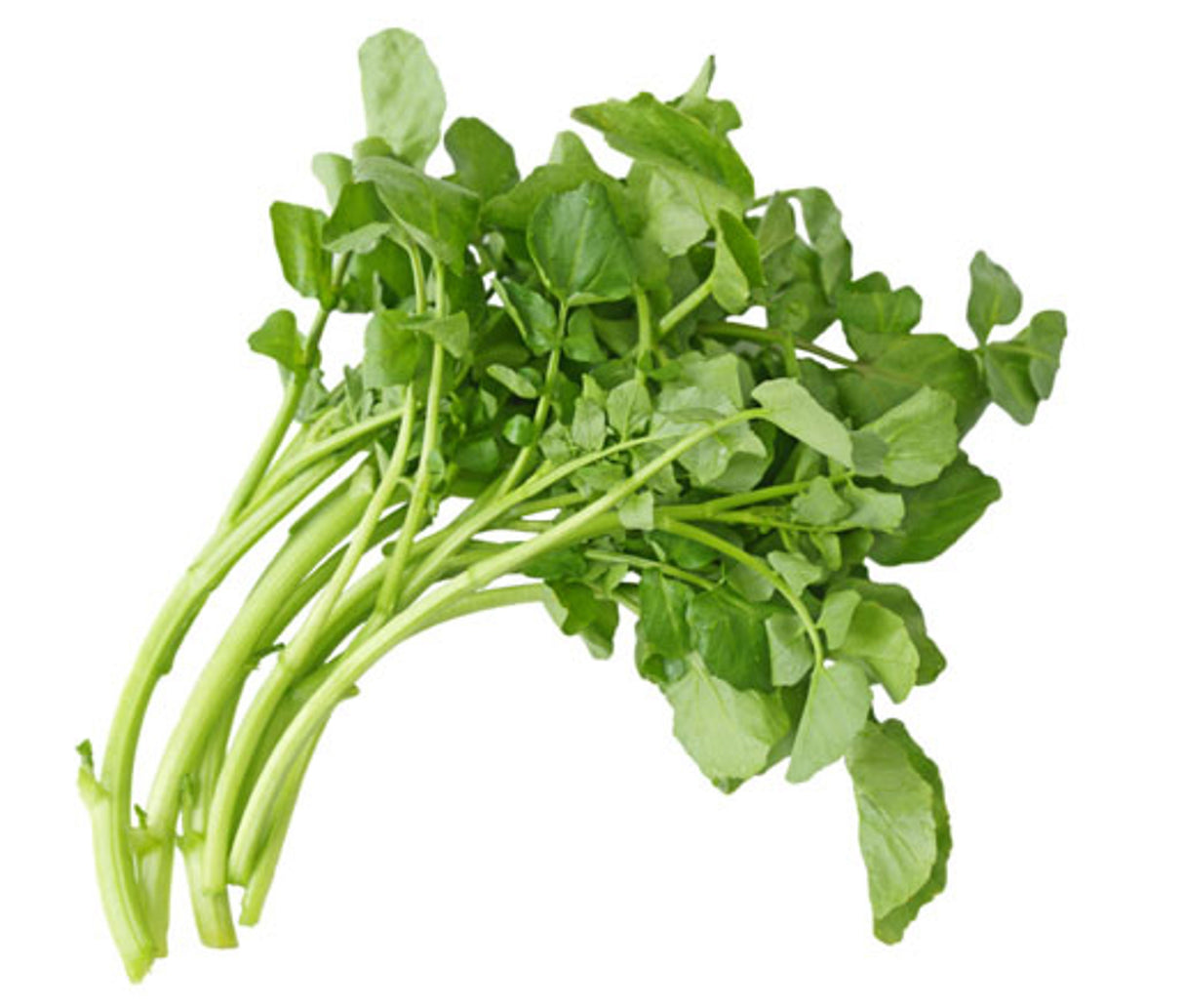 Watercress