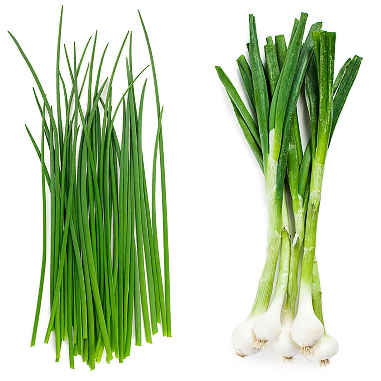 Green Onions