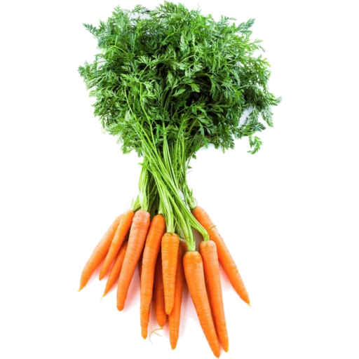 Bunch Carrots