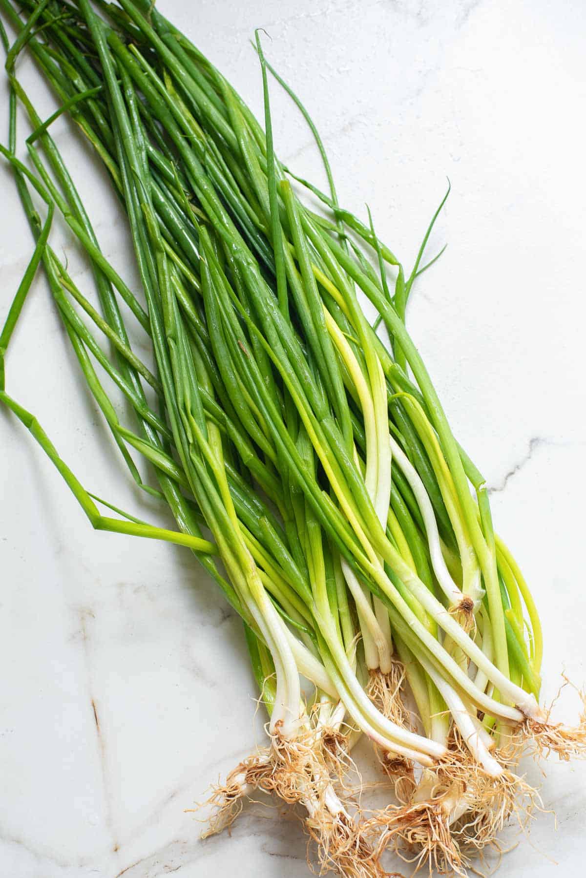 Green Onions