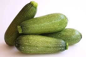Mexican "Gray" Squash