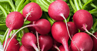 Radish