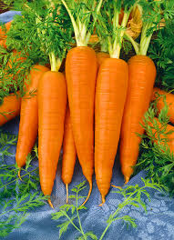 Carrots