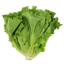 Green Leaf Lettuce