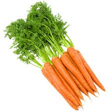 Bunch Carrots