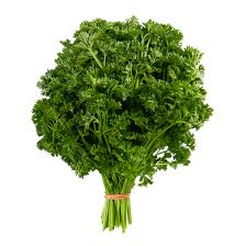 Curly Parsley (American)