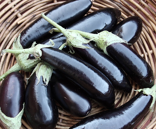Italian Eggplants
