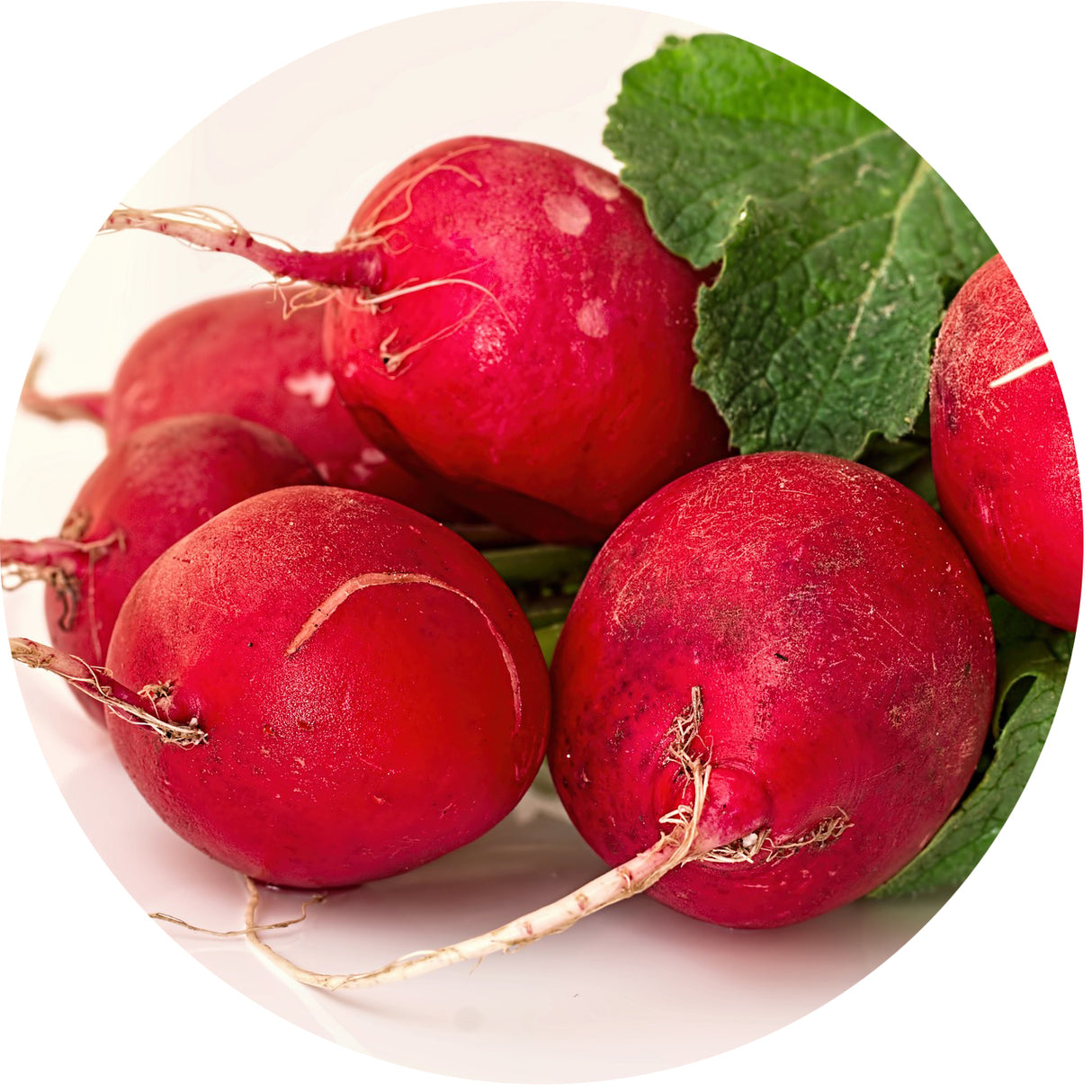 Radishes