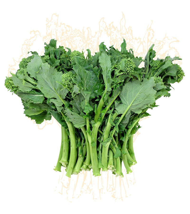 Rapini