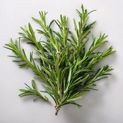 Rosemary