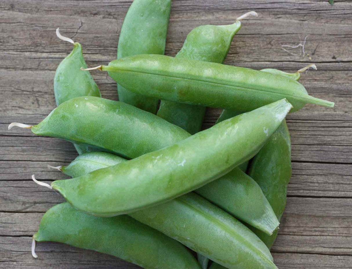 Snap Peas
