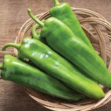 Anaheim Peppers