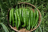 Korean Chili Peppers
