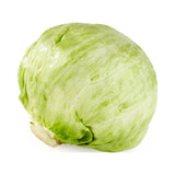 Iceberg Lettuce
