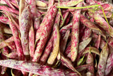 Romano Beans