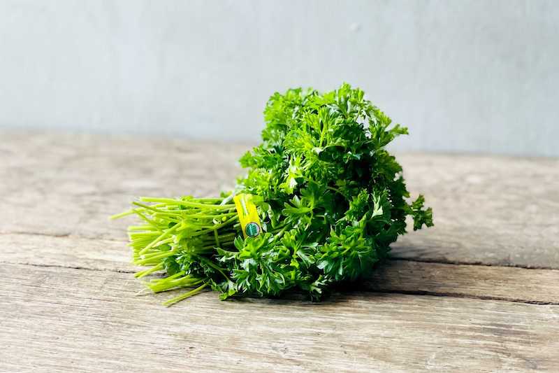 Curly Parsley (American)
