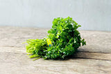 Curly Parsley (American)
