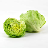 Iceberg Lettuce