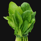 Spinach