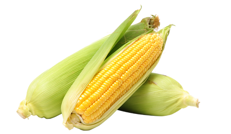 Corn