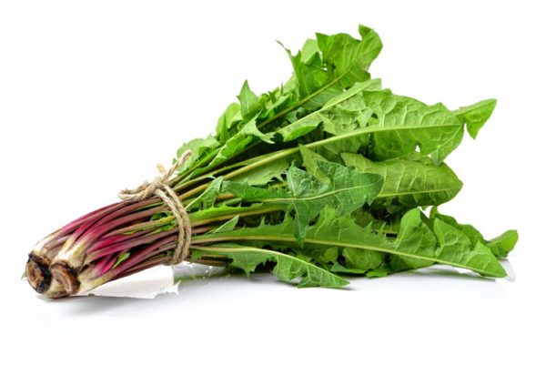 Dandelion Greens