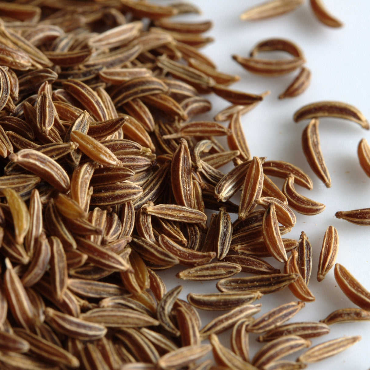 Anise