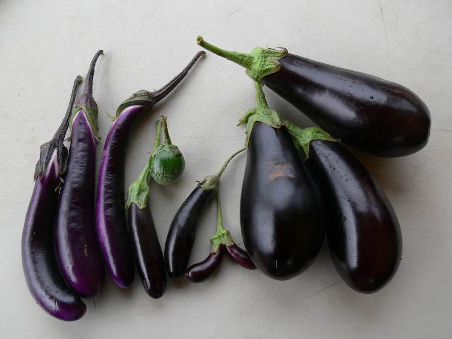 Specialty Eggplants