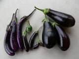 Specialty Eggplants
