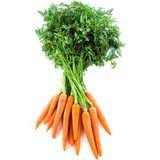 Bunch Carrots