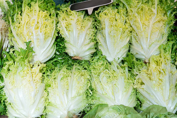 Escarole