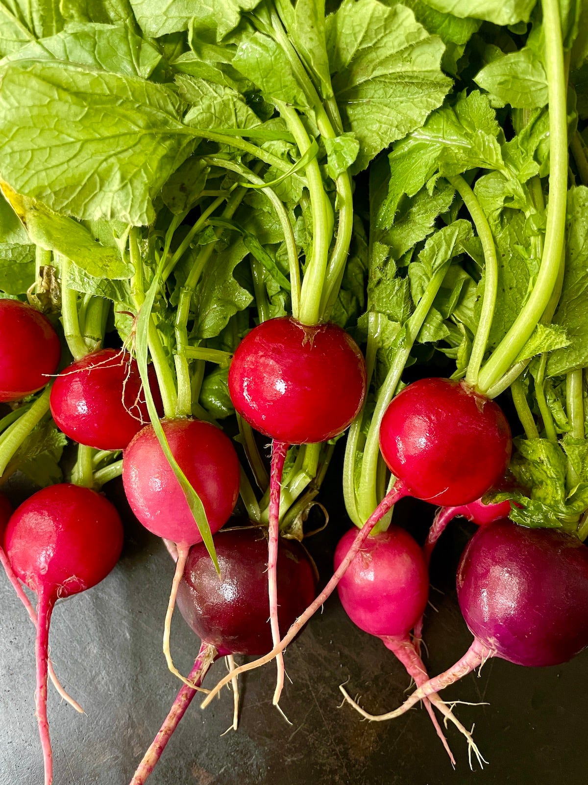 Radish