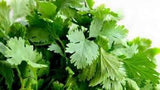 Cilantro