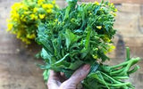 Rapini