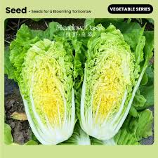 Escarole