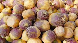 Rutabagas