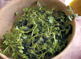 Watercress