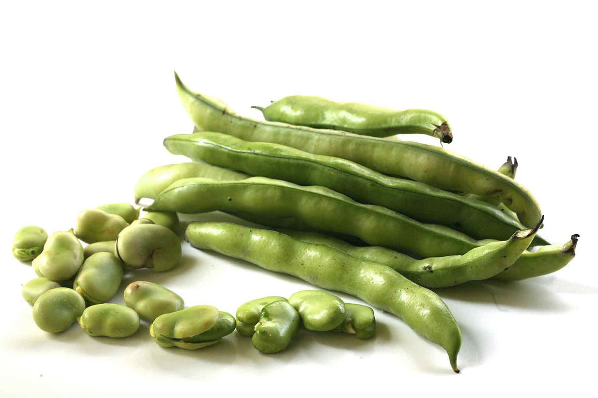 Fava Beans