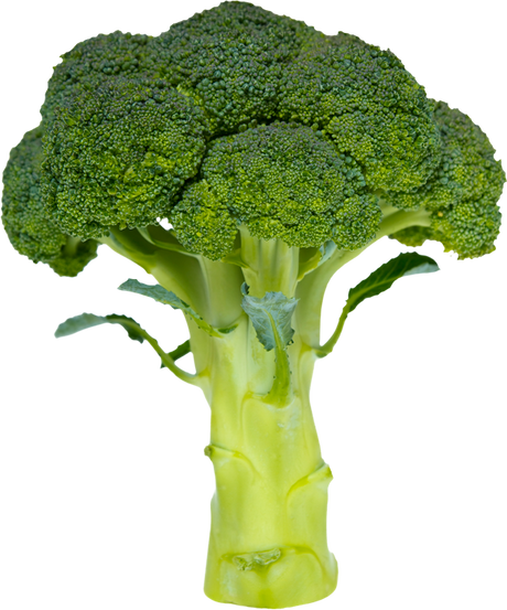 Broccoli