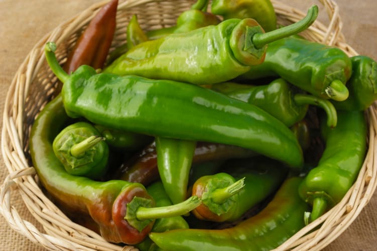 Anaheim Peppers