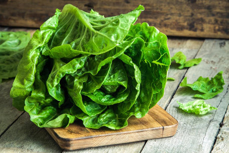 Romaine