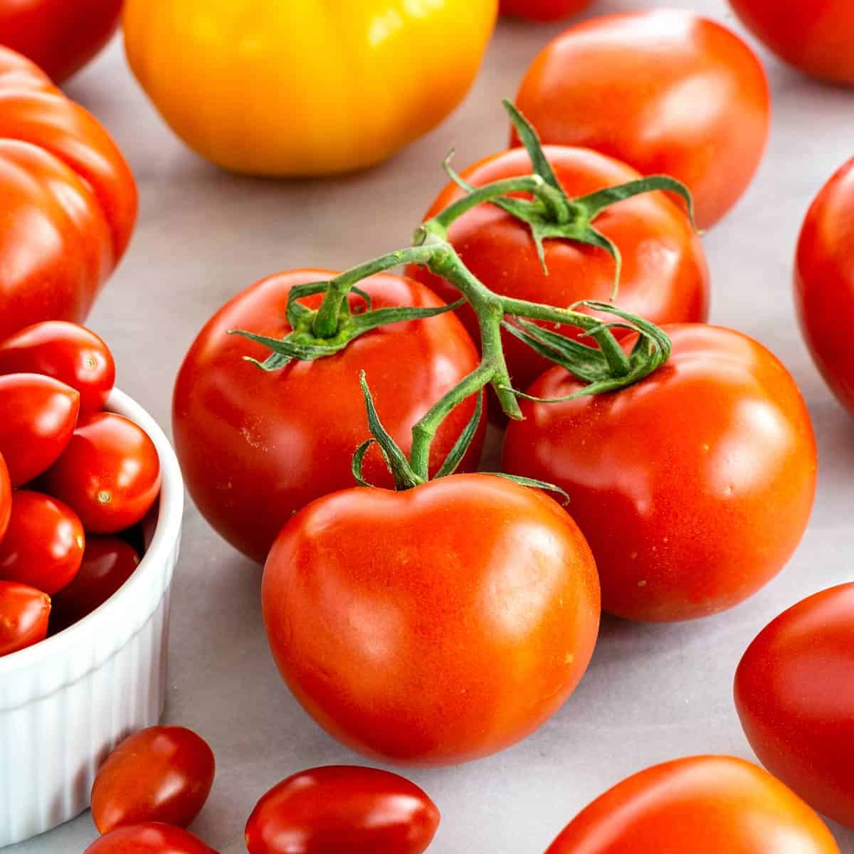 Round Tomatoes
